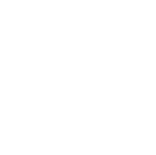 icon-monitoring